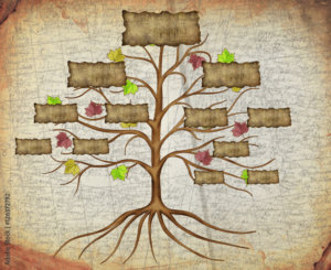 family tree