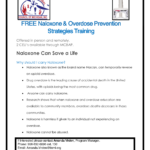 FREE Naloxone & Overdose Prevention Strategies Training Offered in person and remotely. 2 CEU’s available through MCBAP. Naloxone Can Save a Life Why should I carry Naloxone? • Naloxone also known as the brand name Narcan, can temporarily reverse an opioid overdose. • Drug overdose is the leading cause of accidental death in the United States, with opioids being the most common drug. • Anyone can carry naloxone. • Research shows that when naloxone and overdose education are available to community members, overdose deaths decrease in those communities. • Naloxone is harmless if given to an individual not experiencing an overdose. • Naloxone cannot be abused. If interested please contact Amanda Virden, Program Manager. Phone: 906-632-6896 ext. 130 Email: Amanda.Virden@itcmi.org