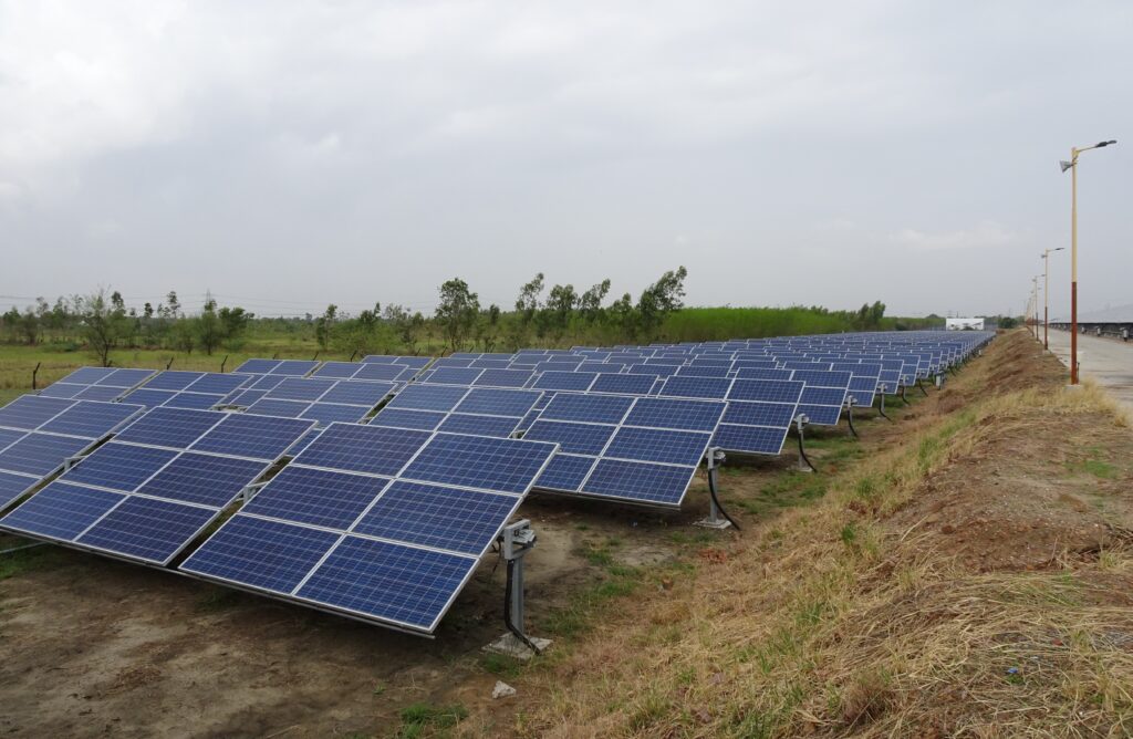 Solar panels on a roadside field.